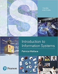 Introduction to Information Systems: People, Technology and Processes