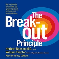 The Breakout Principle: Maximize Creativity, Athletic Performance, Productivity and Personal Well-Being