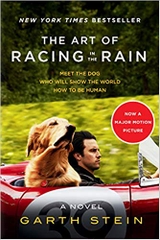 The Art of Racing in the Rain Tie-in: A Novel