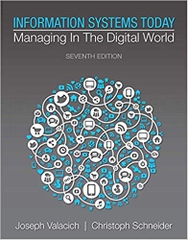 Information Systems Today: Managing in the Digital World