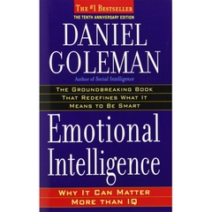 Emotional Intelligence: Why It Can Matter More Than IQ