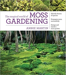 The Magical World of Moss Gardening