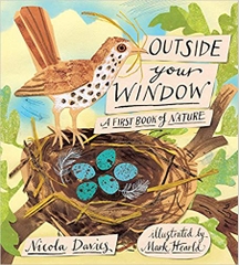 Outside Your Window: A First Book of Nature
