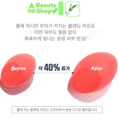 Bông Mút Tán Kem Nền I'm Meme I'm Fitting Blender (SET 2 mút)