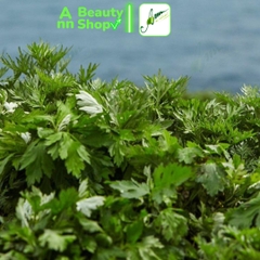 Nước Hoa Hồng Dành Cho Da Nhạy Cảm Hanyul Pure Artemisia Watery Calming Toner 150ml