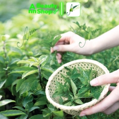Sữa rửa mặt HANYUL Mentha Trouble Cleansing Foam 120g