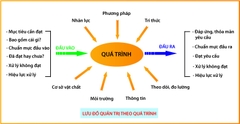 Quản trị doanh nghiệp theo Nguyên tắc 04: Tiếp cận theo quá trình