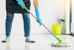 Cây Lau Nhà D25 Duy Tân