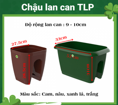 CHẬU TRỒNG CÂY LAN CAN TLP