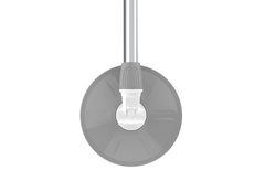 Cây Lau Nhà D25 Duy Tân