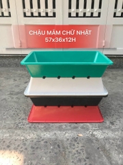 Chậu trồng cây rau mầm