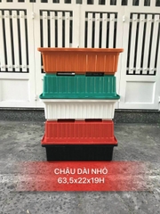 Chậu trồng cây rau mầm dài nhí