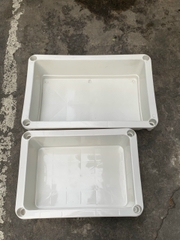 Chậu mầm nuôi cá