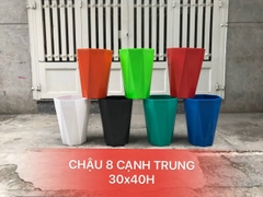 Chậu trồng cây 8 cạnh