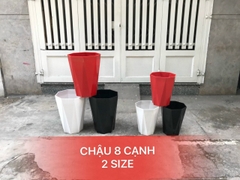 Chậu trồng cây 8 cạnh