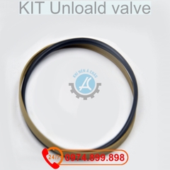 20513030 CAP SEAL KIT Unloald valve Hitachi