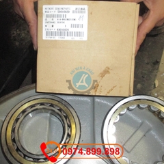 BEARING 59010820 Vòng bi Hitachi oil free DSP Nu21x EM