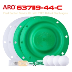 Phụ tùng bơm màng ARO 637119-44-C Service Kit