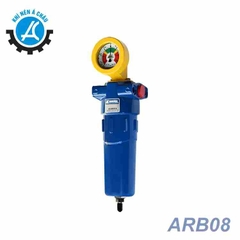 Lọc đường ống Swan ARB