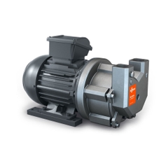 Bơm hút chân không vòng nước Busch Dolphin LX