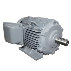 Động cơ TFO-KK Series 3 pha máy nén khí Hitachi