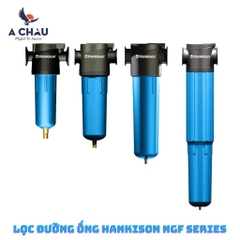Lọc Đường Ống Hankison NGF Series