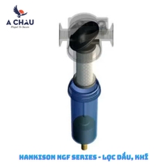 Lọc Đường Ống Hankison NGF Series