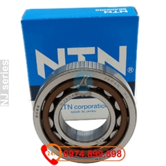 55170030: 50 ROLLER BEARING