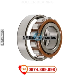 55170030: 50 ROLLER BEARING