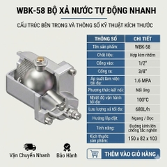 Van xả nước tự động áp cao 16bar WBK