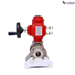 Van bi điều khiển điện kết hợp tay quay ACV