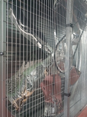 Quạt Vuông AFK 1380PP/220V