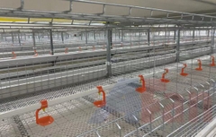 Ống nhựa vuông PVC có sẳn 12 núm uống