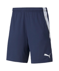 Quần Thể Thao Chính Hãng Màu Xanh Puma TEAMLIGA 657795-06