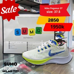 Giày Thể Thao Chính Hãng Nike Air Zoom Pegasus 37 White - màu Trắng DC5191-100