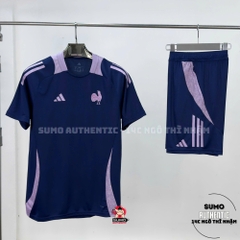 Áo Thể Thao Chính Hãng Adidas Blue France Performance Jersey - màu Xanh Dương JW4694