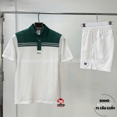 Áo Thể Thao Chính Hãng Wilson All Seasons Polo - màu Trắng Xanh Lá WM00143511-GNG