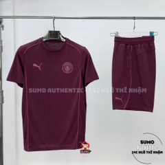 Áo Thể Thao Chính Hãng Manchester City Casuals Tee Men - màu Đỏ Đô 777569-27