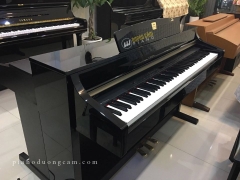 Yamaha CLP 340PE màu đen bóng