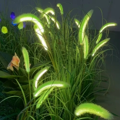 Đèn LED Mô Phỏng Hoa Cỏ Lau - Simulation Reed light cho Vườn Ánh Sáng Zalaa Light Garden