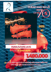 Puma Future 1.4 FG