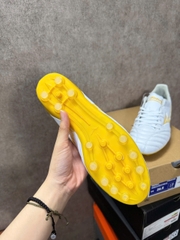 Mizuno Morelia Neo IV Pro AG