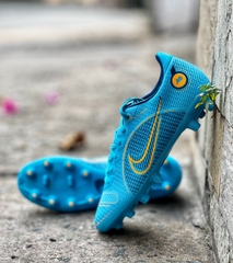 Nike Mercurial Vapor 14 Pro HG