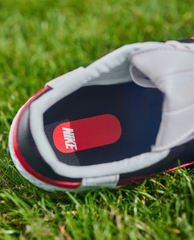 Nike Premier III FG