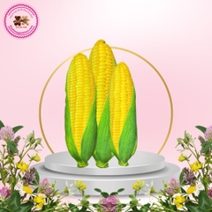 GỐI ÔM BẮP NON.