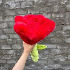 CÁNH HOA HỒNG NHỒI BÔNG