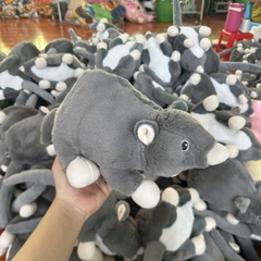 CHUỘT LANG ĐUÔI DÀI