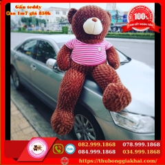 GẤU TEDDY ĐẠI CA 1M7.