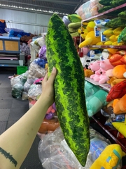 HÀNG SALE QUẢ DƯA GANG.