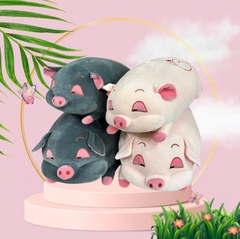 HEO NẰM MẮT LIM DIM.